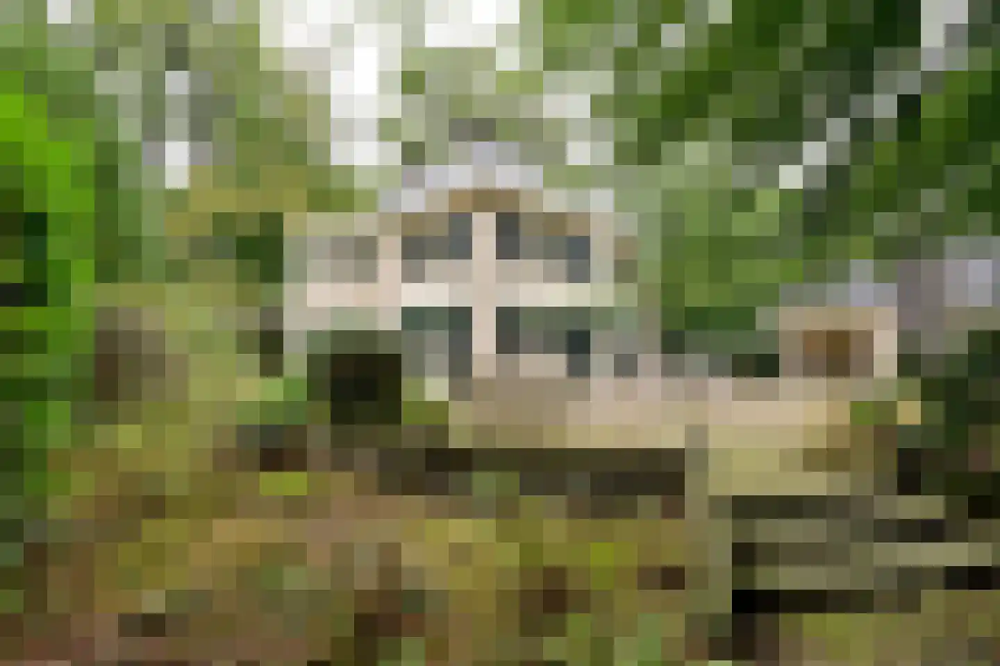 Brediusweg 86 Naarden thumbnail 32