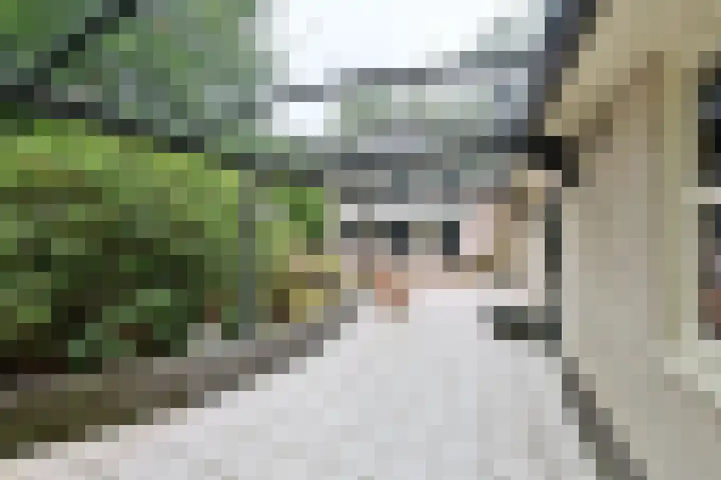 Brediusweg 86 Naarden thumbnail 36
