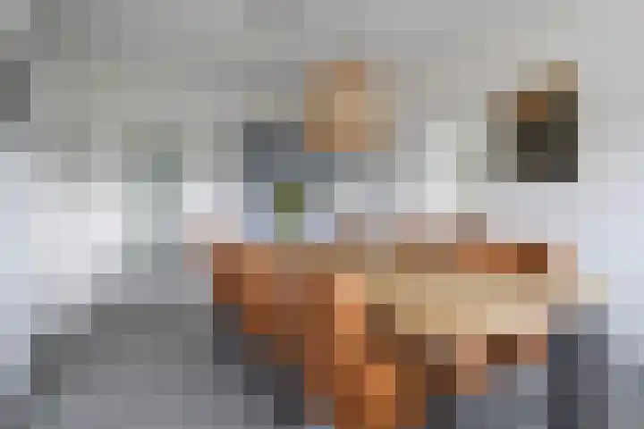 Brédyk 2 Feinsum thumbnail 16
