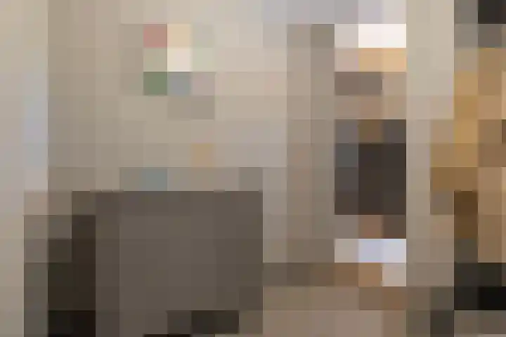 Brédyk 2 Feinsum thumbnail 23