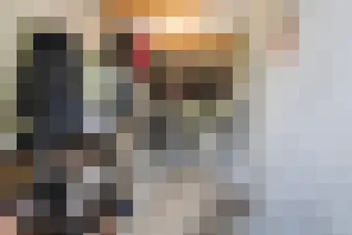 Brédyk 2 Feinsum thumbnail 24