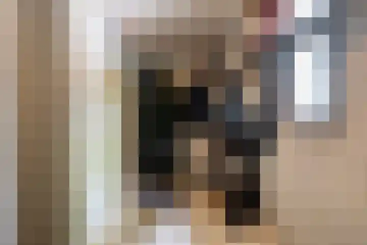 Brédyk 2 Feinsum thumbnail 25