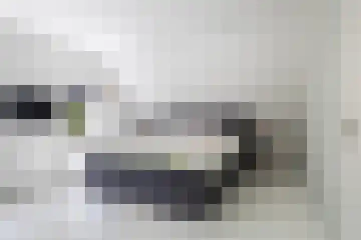 Brédyk 2 Feinsum thumbnail 28