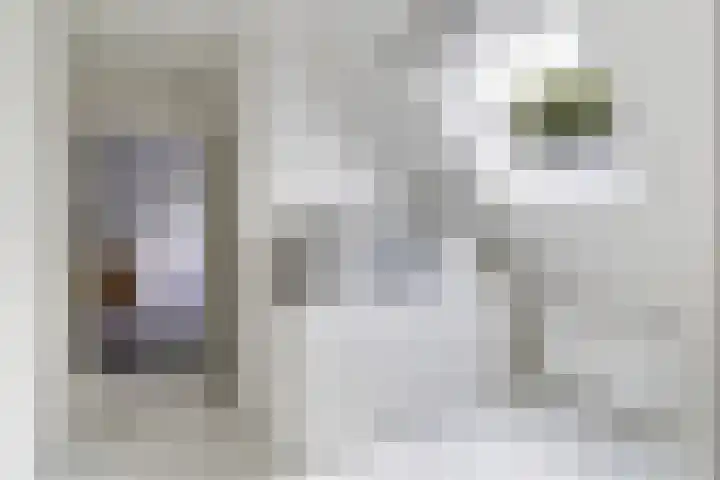 Brédyk 2 Feinsum thumbnail 31