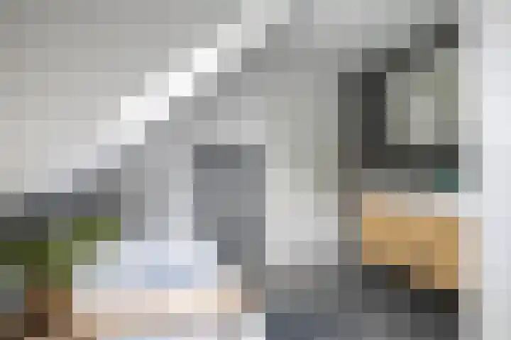 Brédyk 2 Feinsum thumbnail 32