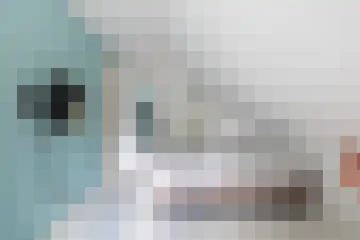 Brédyk 2 Feinsum thumbnail 37