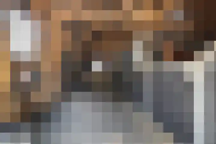 Brédyk 2 Feinsum thumbnail 39
