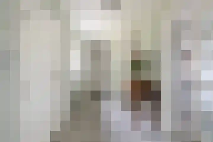 Brédyk 2 Feinsum thumbnail 4
