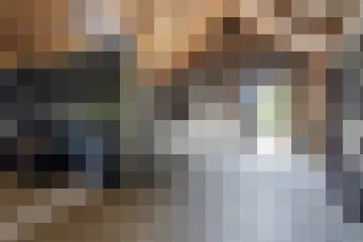 Brédyk 2 Feinsum thumbnail 40