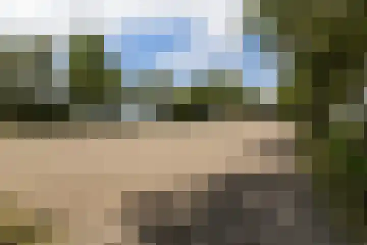 Brédyk 2 Feinsum thumbnail 41