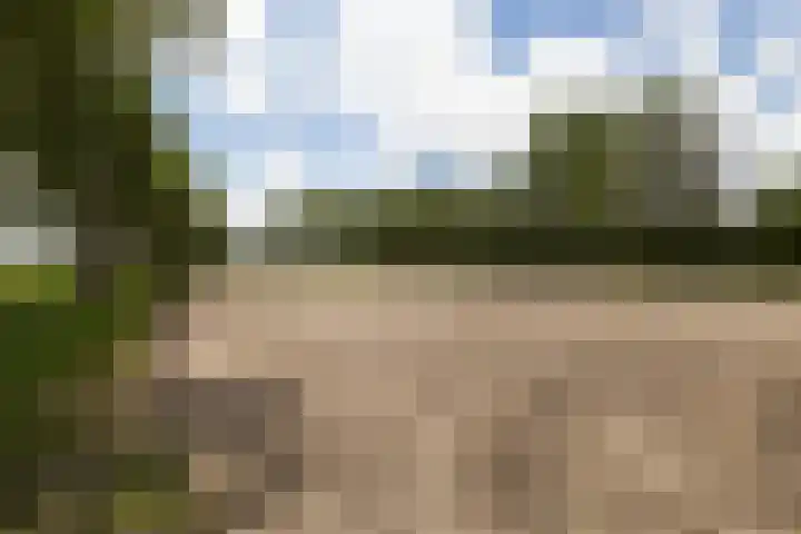 Brédyk 2 Feinsum thumbnail 42