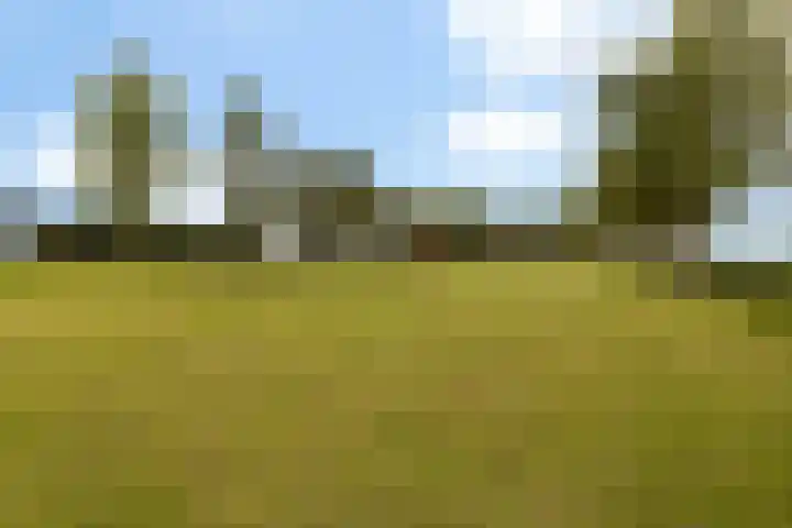Brédyk 2 Feinsum thumbnail 43