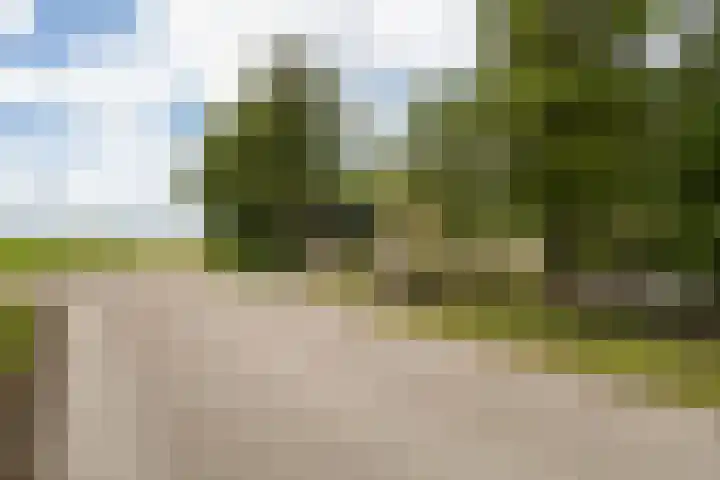 Brédyk 2 Feinsum thumbnail 44