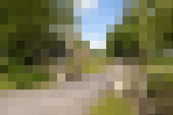 Brédyk 2 Feinsum thumbnail 45