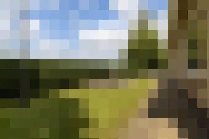 Brédyk 2 Feinsum thumbnail 48
