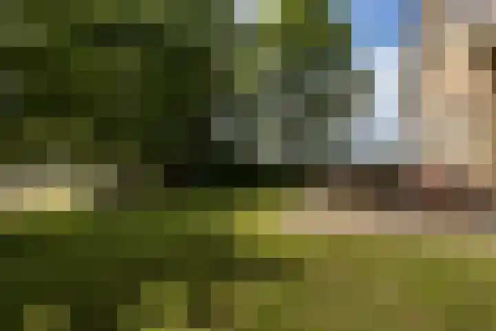 Brédyk 2 Feinsum thumbnail 50