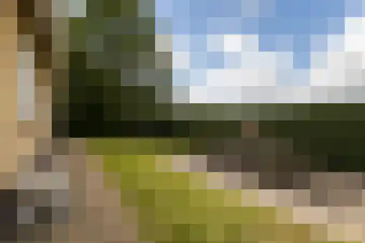 Brédyk 2 Feinsum thumbnail 51