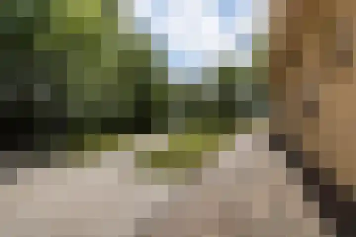 Brédyk 2 Feinsum thumbnail 52