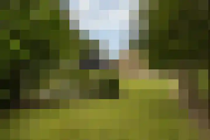 Brédyk 2 Feinsum thumbnail 53
