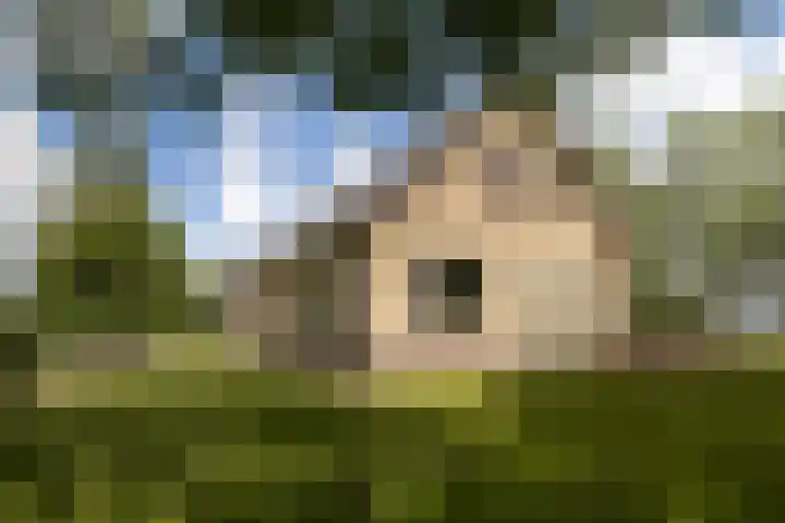 Brédyk 2 Feinsum thumbnail 54