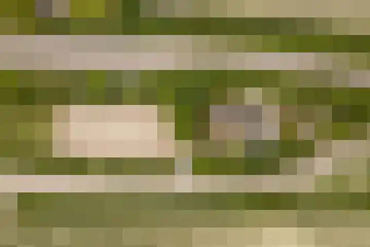 Brédyk 2 Feinsum thumbnail 56