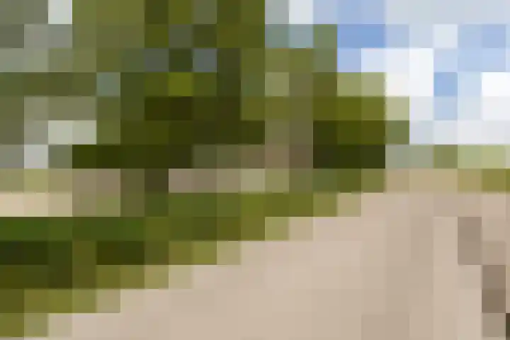 Brédyk 2 Feinsum thumbnail 57