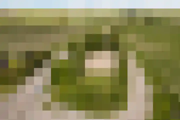 Brédyk 2 Feinsum thumbnail 58