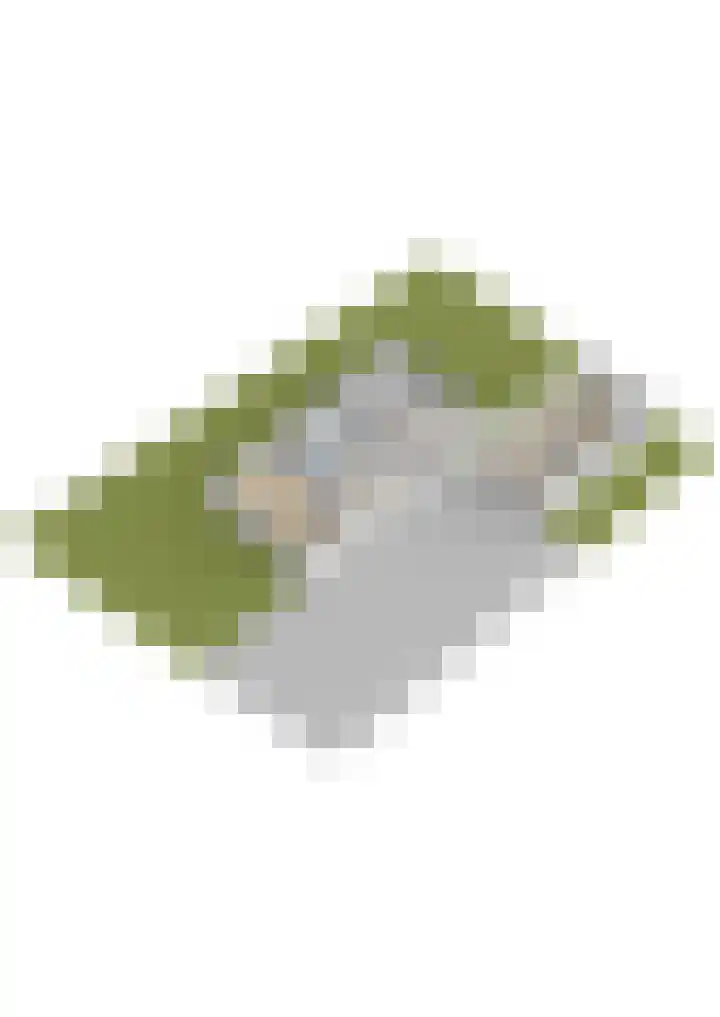 Brédyk 2 Feinsum thumbnail 66