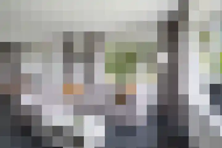 Brédyk 2 Feinsum thumbnail 9
