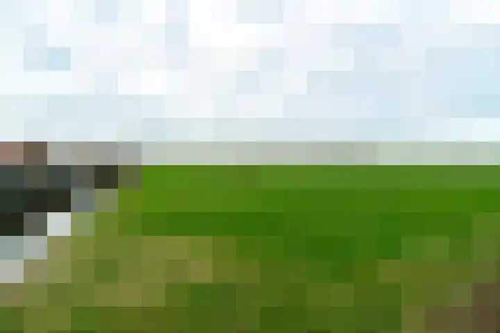Brédyk 20 Jelsum thumbnail 35