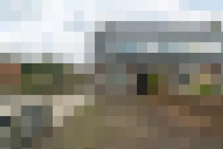 Brédyk 20 Jelsum thumbnail 5