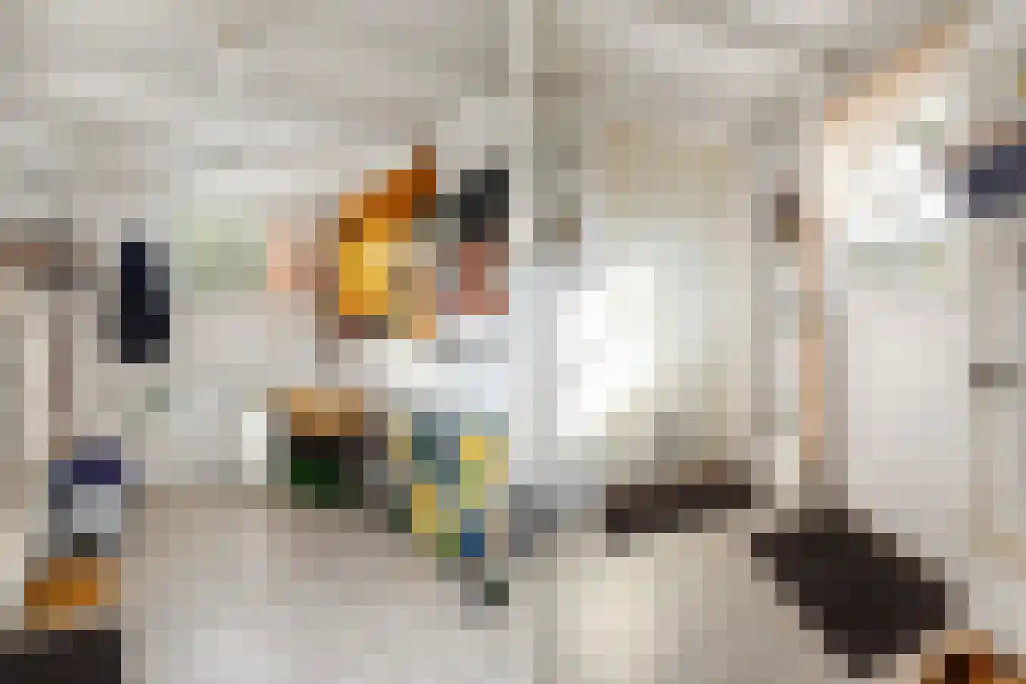 Brédyk 25 Sneek thumbnail 19