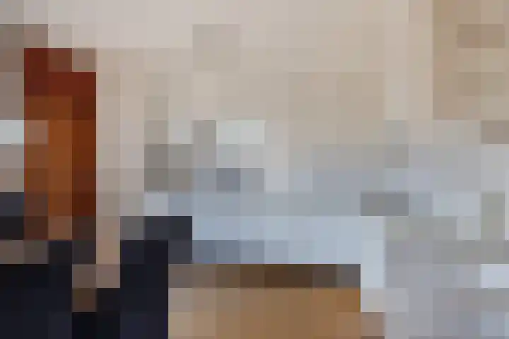 Brédyk 45 Sneek thumbnail 18