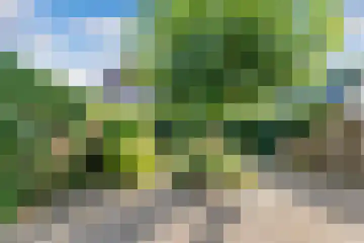 Brédyk 45 Sneek thumbnail 44