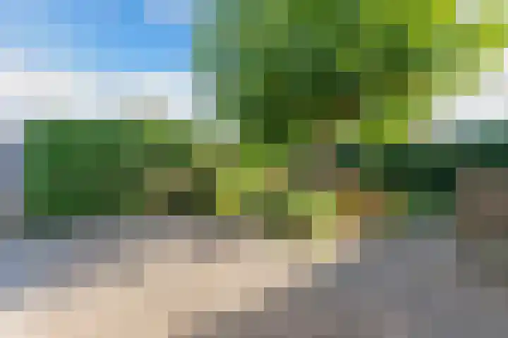 Brédyk 45 Sneek thumbnail 45