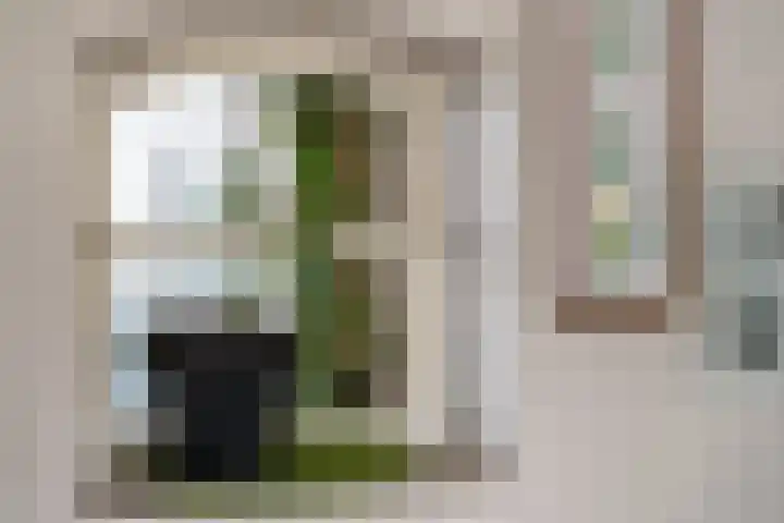 Brédyk 53 Goutum thumbnail 16