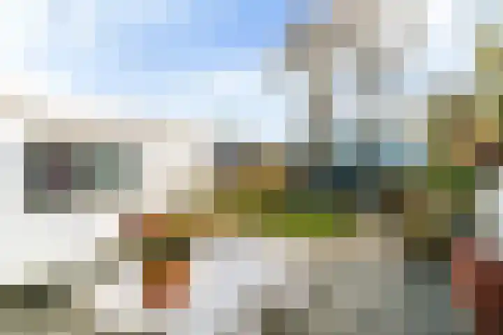 Brédyk 53 Goutum thumbnail 26
