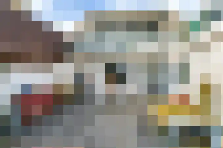 Brédyk 53 Goutum thumbnail 28