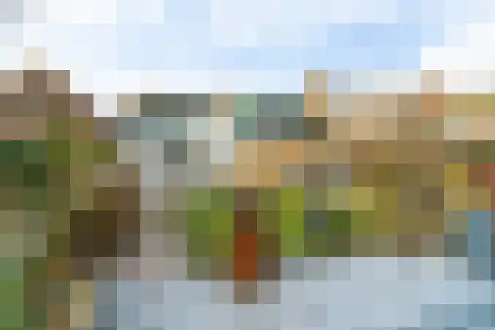 Brédyk 53 Goutum thumbnail 31