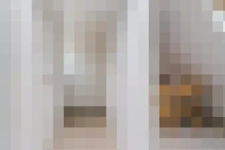 Brédyk 53 Goutum thumbnail 33