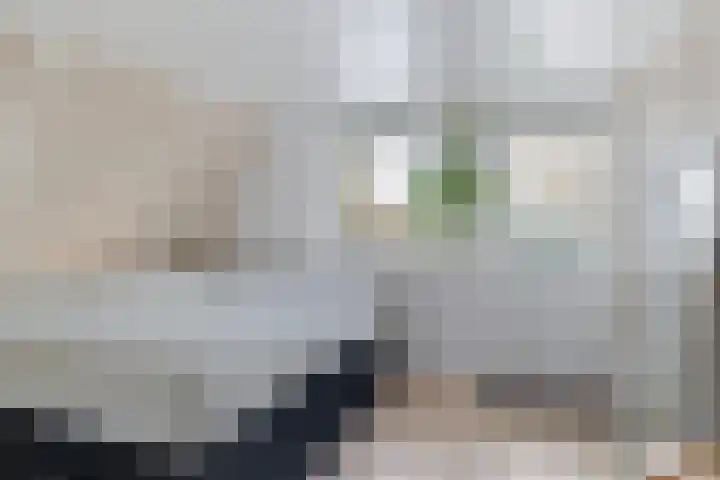 Brédyk 53 Goutum thumbnail 35