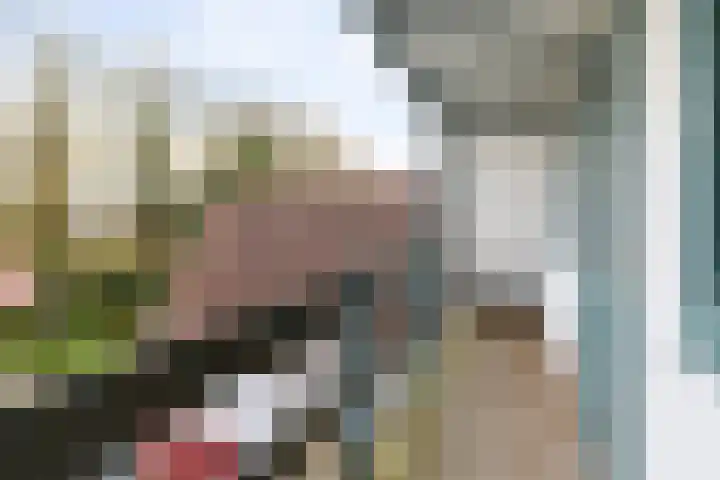 Brédyk 53 Goutum thumbnail 39