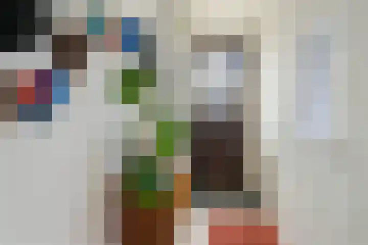 Brédyk 53 Goutum thumbnail 4
