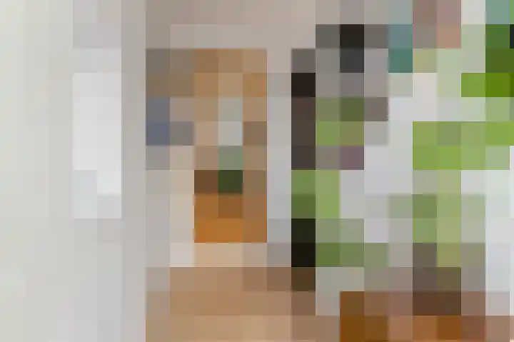 Brédyk 53 Goutum thumbnail 5