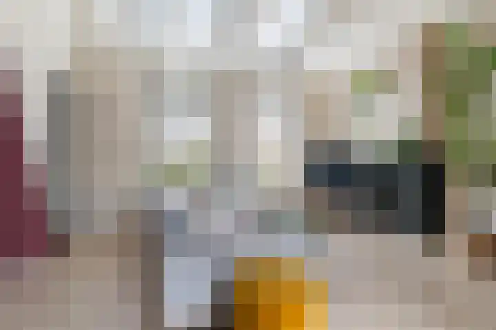 Brédyk 53 Goutum thumbnail 7
