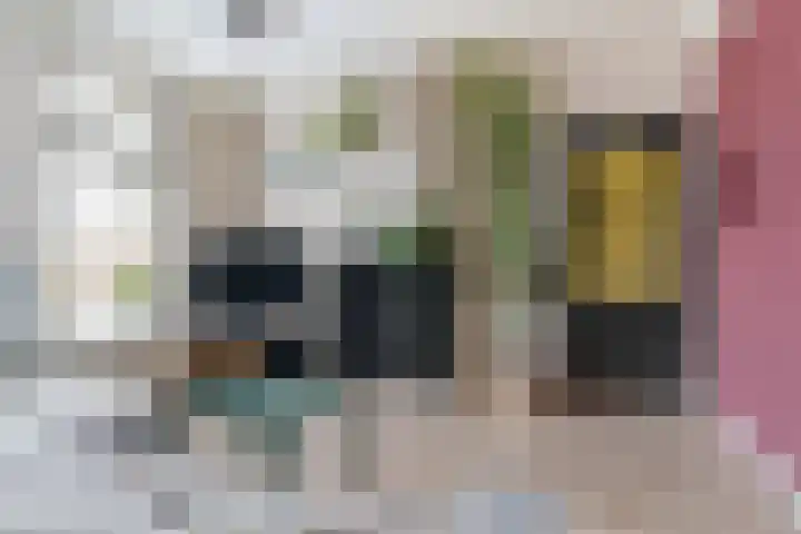 Brédyk 53 Goutum thumbnail 8