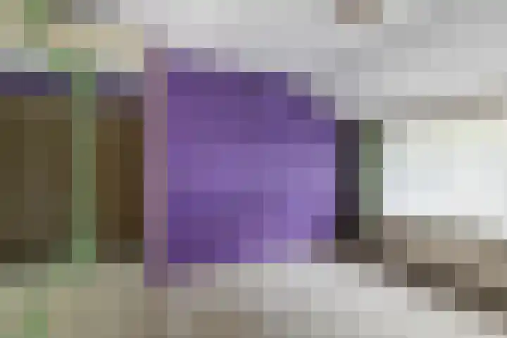 Brédyk 61 Goutum thumbnail 11