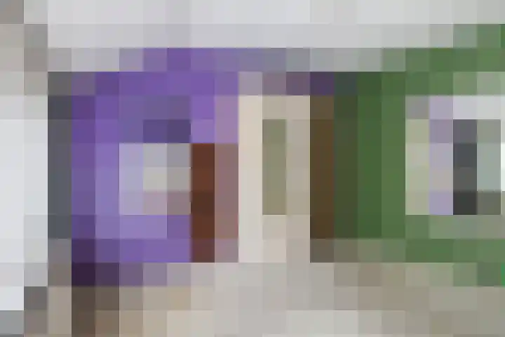 Brédyk 61 Goutum thumbnail 12