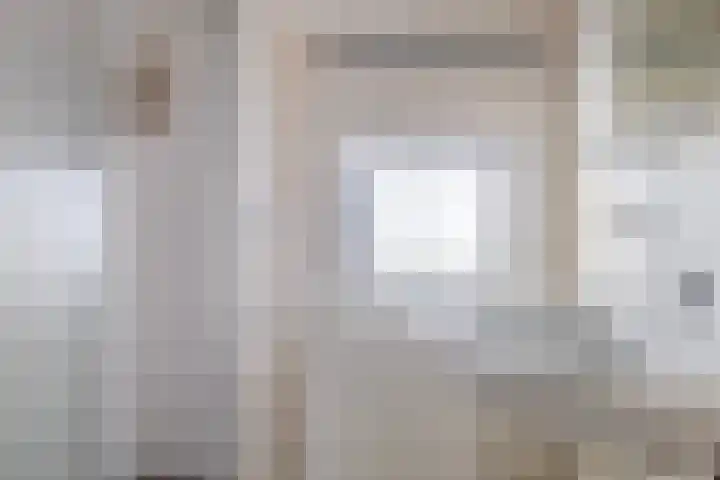 Brédyk 61 Goutum thumbnail 18