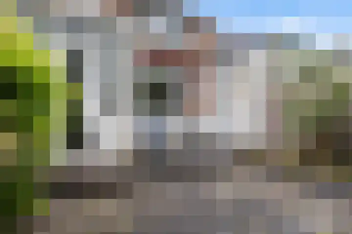 Brédyk 61 Goutum thumbnail 20